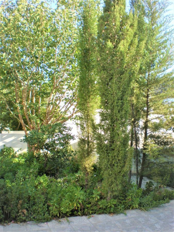 Astyvillas Livadi  Eksteriør billede